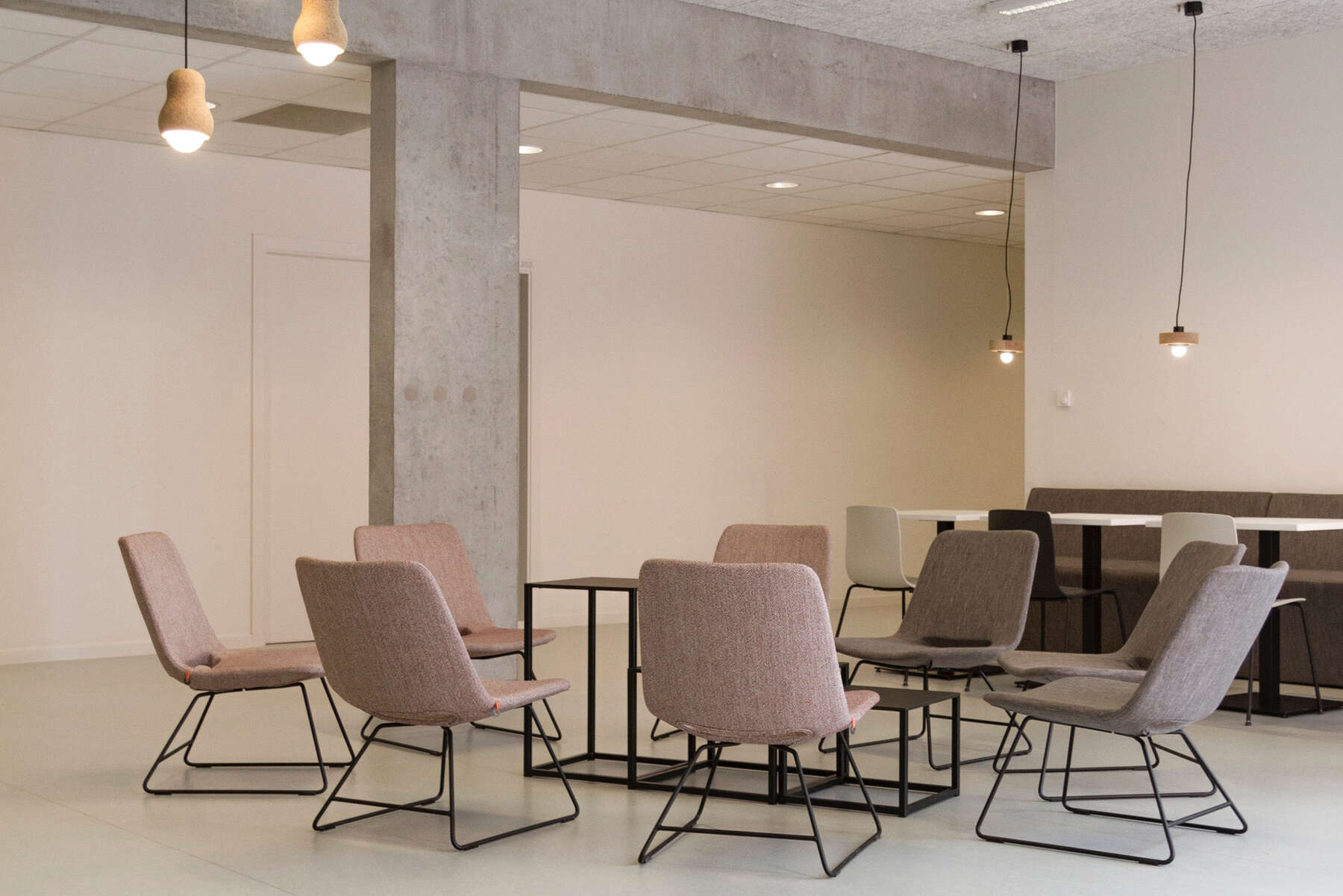 Un perro juega en el parque bajo el sol, rodeado de árboles y niños riendo.